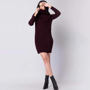 Women Solid High Neck Sweater Dress